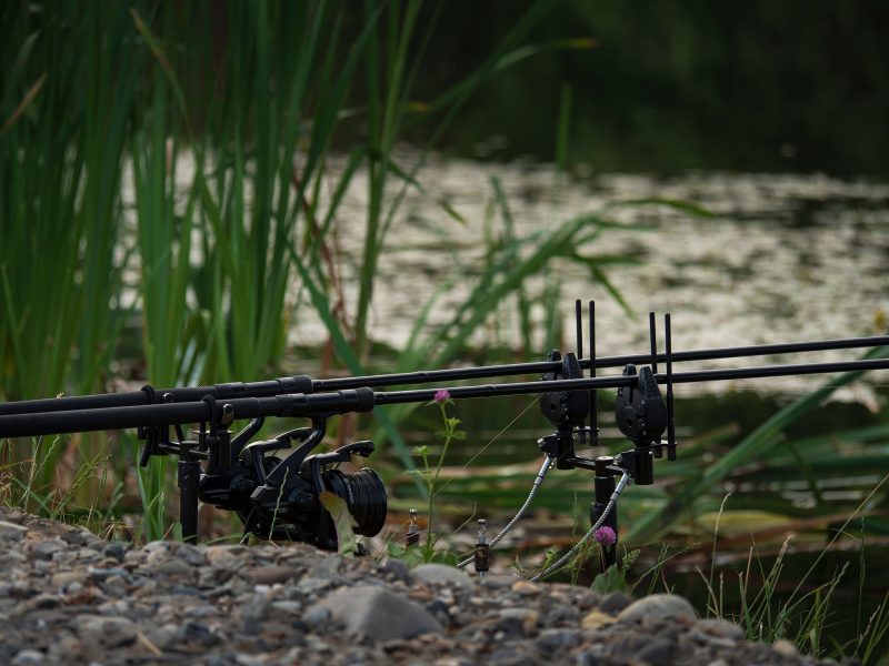 Pescuit la amur carpadventures (5)